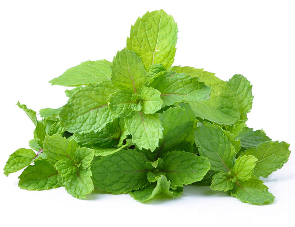 Peppermint and Digestion:<br>What You Need to Know